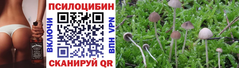 Галлюциногенные грибы мицелий  где можно купить   Чебоксары 
